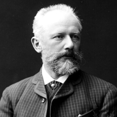 Pyotr ilyitch tchaikovsky dnbpuys